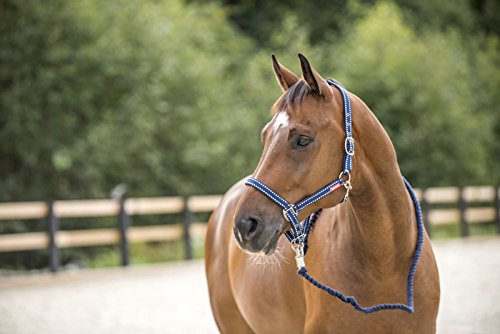 HORZE Cooper Halter with Lead Rope - Peacoat Dark Blue - Warmblood - size: Warmblood