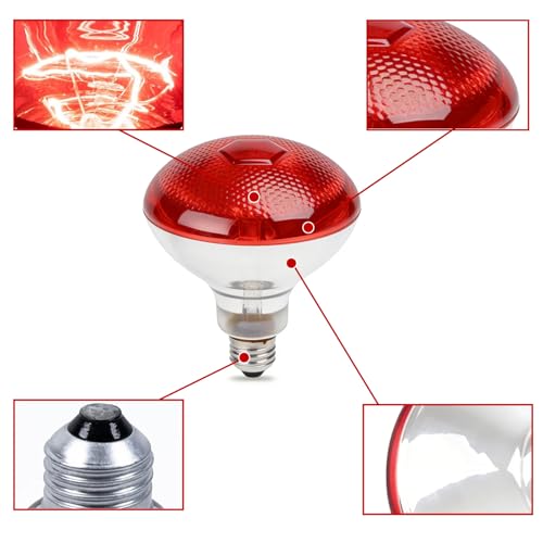 4 Pack 250W Chicken Heat Lamp Bulbs, Infrared Heat Lamp for Chickens, Heat Light Bulb for Brooder Coop, Food Service, Chicks, Pet, Reptile