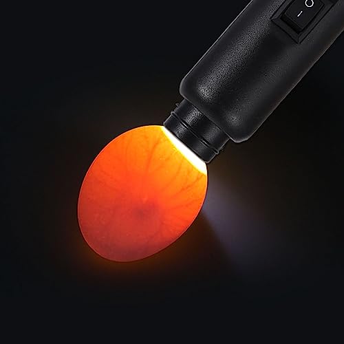 Gavigain Egg Candler Tester,Cool Led Light Dual Power Egg Candler Tester Mains or Battery Powered (Egg Lighter+Battery Box)