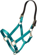 ARMA Shires Nylon Halter with Leather Head Strap - color: Teal, size: Full