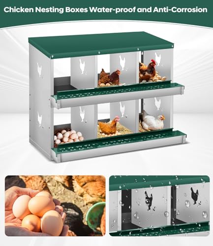6 Compartment Chicken Nesting Box, Heavy Duty Metal Laying Box with Perch, Easy Assembly & Easy Clean for Outdoor Chicken Coop, Green - color: Green, size: 6 Compartment