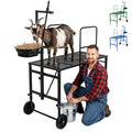 Goat Stand with Adjustable Headpiece & Legs, Goat Milking Stand with Feeder, Rails & Wheels, Stanchion for Grooming & Hoof Trimming, Sheep Stand for Shearing Heavy-Duty Steel Platform, Black - color: BLACK