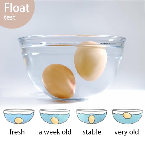 300PCS Fresh Eggs Handling Instructions Cards, 2x3.5" | for Egg Carton, Farm, Supermarket