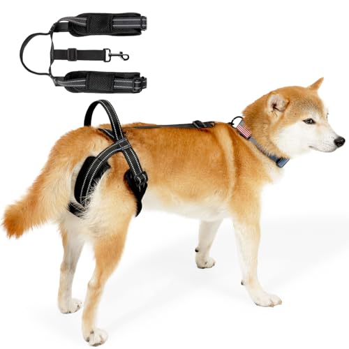 Dog Harness Rear Leg Support for Old Disabled Injured Arthritis Post-op S | Breathable mesh material with reflective strape, adjustable buckle, portable lifting handle, match most dog collars - size: S(Leg Girth: 13.3-18.1")