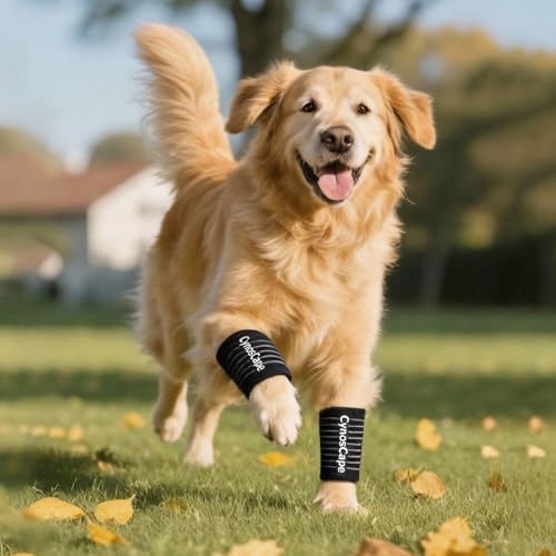 Rear Leg Hock Joint Compression Wrap – Knee Brace for Back Leg Support in Dogs - size: Small