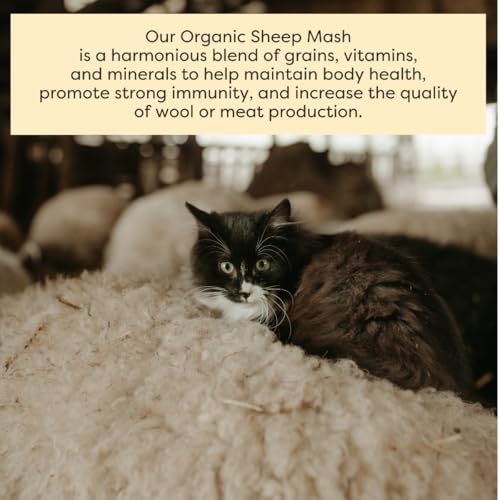 Scratch and Peck Feeds | Sheep Feed | Whole Grain Mash | 40 lb Bag | 15% Protein, Soy Free, Certified Organic & Non-GMO Project Verified, Supplemental Feed for a Forage Diet