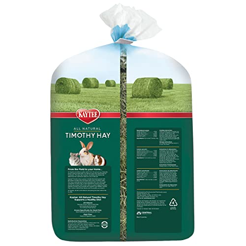 Kaytee Timothy Hay, High Fiber for Rabbits, Guinea Pigs, 96 Ounces | Supports digestive health. Hand-selected rabbit hay. Guinea pig hay, chinchilla hay, pesticide free - size: 6 Pound (Pack of 1)