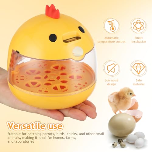 HANABASS Small Egg Incubator with Automatic Temperature and Humidity Control Portable Bird Incubator for Quail Chicken Parrots Ideal for Home and Farm Hatching