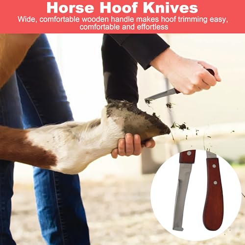8Pcs Farrier Hoof Tool Kit, Horse Hoof Trimming Tools, For Horses Cattle | Farrier Hoof Nippers, Horseshoe Cutting Pliers, Hoof Rasp File, Horseshoe Brush, Hoof Knife, Hoof Hammer, For Sheep Donkeys