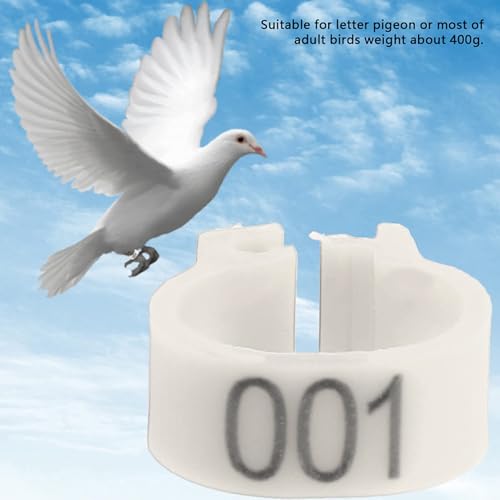 100PCS Numbered Leg Bands, 8mm Inner Diameter | Color-Coded Identification for Hatches, Durable Plastic Resists Cracking, Clip-On Design No Extra Tools, Organize Breeding Re