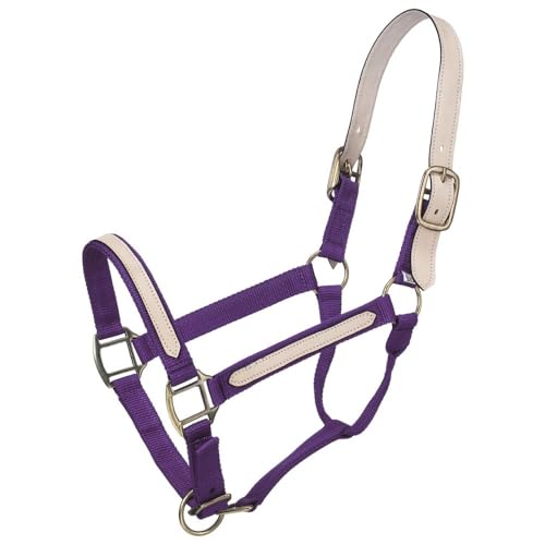 Tough1 Nylon Breakaway Halter - color: Purple