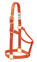 Weaver Leather Original Non-Adjustable Nylon Horse Halter, Small, Orange