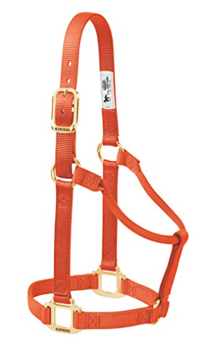 Weaver Leather Original Non-Adjustable Nylon Horse Halter, Small, Orange