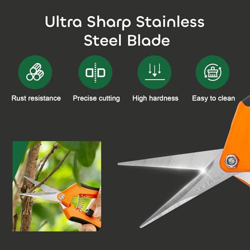 GROWNEER 3 Packs 6.5 Inch Pruning Shears Gardening Hand Pruning Snips Gardening Scissors with Straight Stainless Steel Precision Blades - style: Orange
