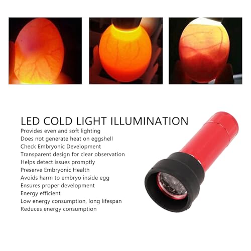 Egg Candler Tester, LED Cold Light Source for Monitoring Eggs Development with Even Soft Lighting, No Heat Damage, for Farmers Breeders Hatcheries