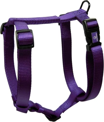 Hamilton Adjustable Nylon Dog Harness, X Large 1" x 40-50", Purple | Premium Quality Nylon, Durable Buckle, Sturdy D-Ring, No Pull, 4 Point Adjustable, Large & Extra Large Breed Dogs - color: Purple, size: XL, 1" x 40-50"