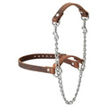 Weaver Livestock Leather Total Control Goat Halter, Water Buffalo