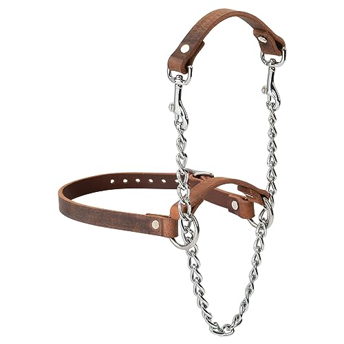 Weaver Livestock Leather Total Control Goat Halter, Water Buffalo