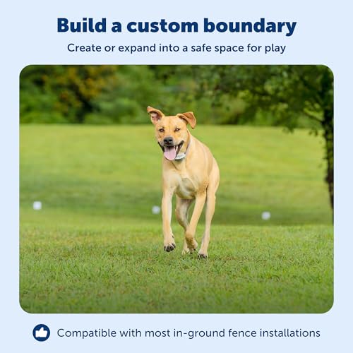 PetSafe Extra In-Ground Fence Boundary Wire, 20-Gauge Copper, 500 ft | Solid Core Copper Wire to Expand PetSafe In-Ground Fence, Covers Approximately 1/3 Acre - size: 500 feet, style: 20 Gauge