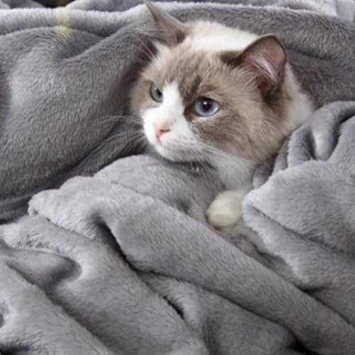 Hansleep Twin Grey Fleece Blanket, Soft Flannel Bed Blanket (Pack of 4) - color: Grey, size: Twin (60x80 Inches) (Pack of 4)