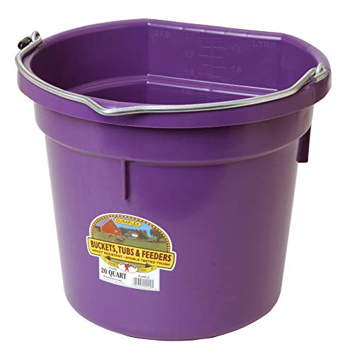 Little Giant® Flat Back Plastic Animal Feed Bucket | Animal Feed Bucket with Metal Handle | Horse Feed & Water Bucket | 20 Quarts | Purple