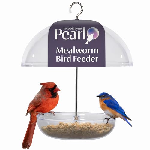 Mealworm Feeder - Jacobi Jayne® Pearl Feeder - Dome Bird Feeder for Small Birds - Bluebird Feeder for Mealworms - Platform Bird Feeder with Dome Cover - Covered Mealworm Feeder - Attracts Blue Birds