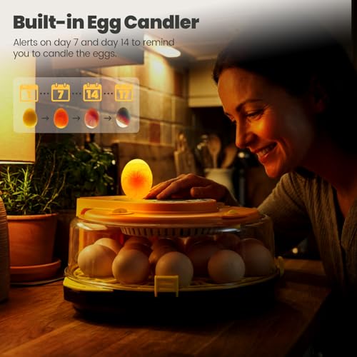 Incubators for Hatching Eggs -15-Egg Automatic Egg Chick Incubator with 5 Smart Preset Modes and Egg Turning, Temperature & Humidity Control Incubator for Goose Duck Quail Eggs