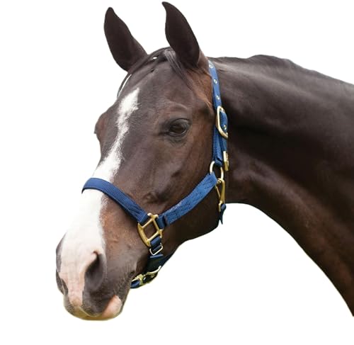 Hamilton Deluxe Adjustable Horse Halter, 800-1100 lbs, Navy Blue | Premium Quality 1" Triple Ply Nylon, Average/Arabian/Yearling Draft, Adjustable Chin Strap, Throat Snap, Solid Brass Hardware - color: Navy Blue, size: Average, 800-1100lbs