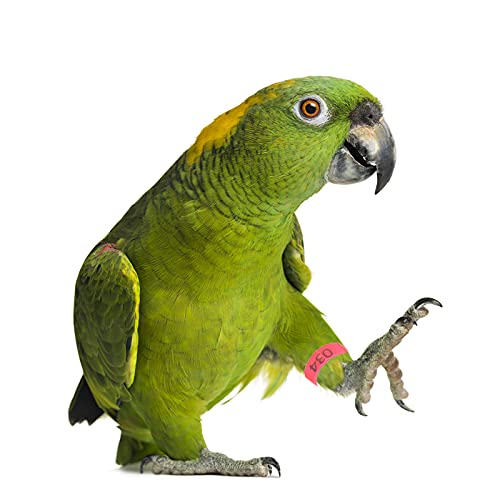 1-100 Numbers Poultry Chicken Leg Bands Clip-on Bird Adjustable Foot Label Rings for Pigeon Chicks Bantam Duck Goose