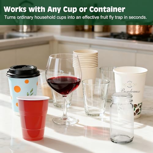 LFSYS Fruit Fly Traps for Indoors – 25 Pack DIY Cup Cover Adhesive Cards for Fruit Fly – Clear, Mess-Free, Indoor Use