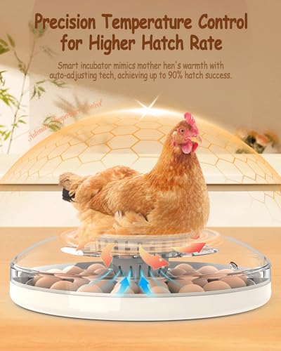 Incubator for Hatching Eggs, 30 Eggs Incubator with Automatic Egg Turning, Temperature Control & Humidity Display, LED Egg Candler, for Chicken, Quail, Parrot Eggs
