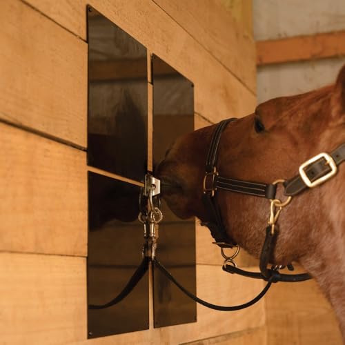 Schneiders Easy-Up 12" x 12" Metal Wall Plate Chew Guards for Horses | Heavy-Duty Steel Protection for Barns and Stalls | Set of 4 | Color Black