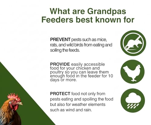 Grandpas Feeders Automatic Chicken Feeder - 20 lbs No Waste Poultry Feeder, Rat Proof & Rodent Proof Treadle Chicken Feeder, Galvanized Steel with Lid, Feeds 6 Chickens up to 10 Days - size: Standard