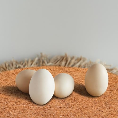 TOYANDONA 4 Pack Chicken Nesting Pads Coconut Fiber Egg Cushions for Coop Nesting Box Pads for Laying Hens Reusable Pet Nest Supplies for Rabbits Birds Cats and Dogs 11.81 X 11.81 X 0.35 in