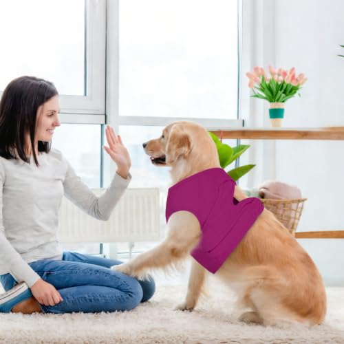 BRKURLEG Dog Chest Recovery Suit After Surgery, Purple S | Dog Chest & shoulder Wound Cover, Breathable & Soft Anti-Licking Wound Vest, Not for Spay/Neuter Surgeries, Cone Alternative - color: Purple, size: Small