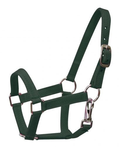 Nylon Small Pony Halter with Nickel Plated Hardware and Throat Latch - color: Dark Green