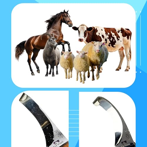 Hoof Knife Single Sided Edge Curved Blade – Stainless Steel Curved Blade Farrier Tool with Wooden Handle, Multipurpose Hoof Trimming Knife for Livestock, 3-Inch Blade, 8.5-Inch Overall - style: Curved Blade - RH