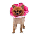 Adjustable Dog Cat Cone,Soft Recovery Cat Cone Collar,Dog Protective Collar for Cats and Puppy Surgery,Pink,Small - color: Pink, size: Small