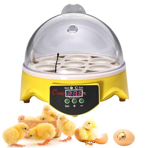 360° View 7-Egg Poultry Incubator for Hatching Chicken, Duck, Goose, Parrot, and Quail Eggs, with Temperature Control