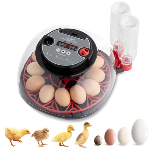 US 12-Egg Incubator with Automatic Egg Turning, Temperature & Humidity Control, Auto Water Addition & LED Egg Candler - Hatching Machine for Chicken, Duck, Goose, Pigeon, Quail & Bird Eggs