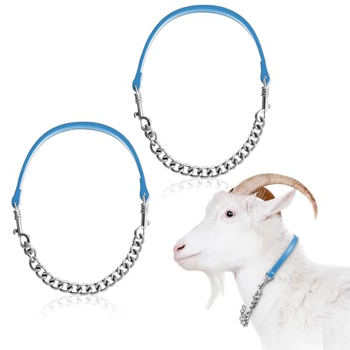 Misdary 2 Pcs Goat Show Collars, Adjustable 14"-24" Iron Chain Halter for Sheep, Horses, Dogs, Cows & Calves, Farm Animal Supplies Accessories Animal Lovers Gift (14'',Blue) - color: Blue
