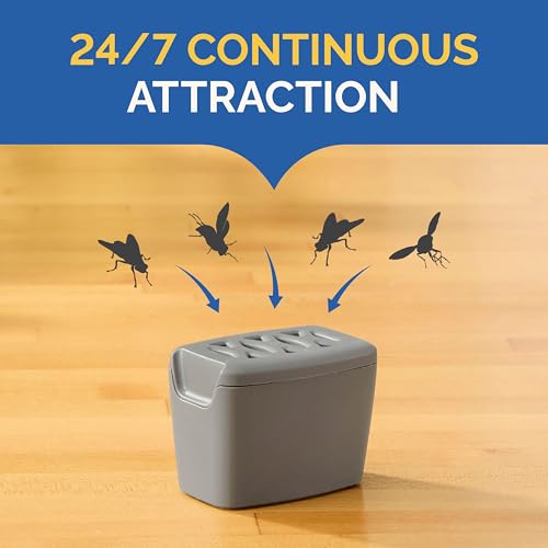 Hot Shot Flying Insect Trap, Attracts & Captures Fruit & House Flies, 6 Ct | 24/7 Continuous Attraction, Discreet & Compact Hassle-Free Trap, Starts Working Immediately, No Plug-In or Electricity Needed