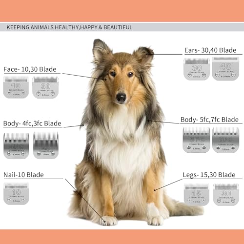 7FC Dog Grooming Ceramic Blades,Compatible with Andis,Oster A5,Wahl KM10 | Size 7FC Detachable Ceramic Blade 1/8-Inch 3.2MM Cut Length,3 Pack - size: 3pc 7FC:1/8''(3.2mm)