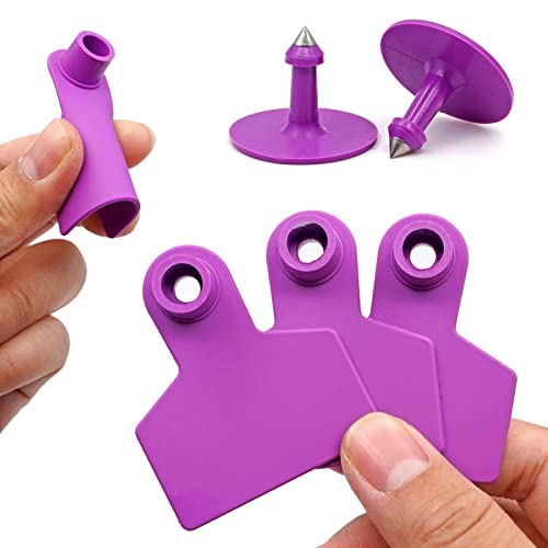 Blank Ear Tags 100 Pieces Livestock Identification Lable Blank Livestock Ear Tags for Cattle Cow Pig Goat Sheep Dog (Purple) - color: Purple
