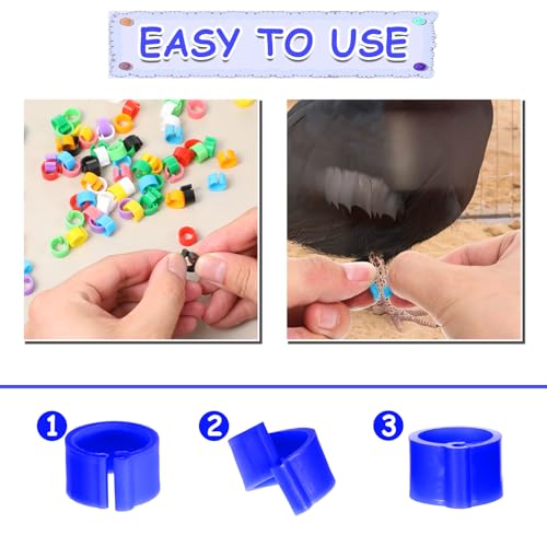 200 Pcs 8mm Chick Leg Bands, Colorful Numbered Bird Quail Leg Rings Identification Legs Bands Baby Chicken Supplies Poultry Tags for Chick Bantam Finch Dove Small Birds (Ten Colors) (Pack of 2) - size: 0.4 x 0.4 x 0.27 inches (Pack of 2)