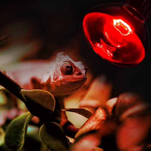 REPTI ZOO 100W Reptile Heat Lamp Bulbs Combo, Upgraded 2 Pack Day & Night Basking Spot Light, UVA Daylight Heating Lamp & Infrared Heat Lamp for Reptiles & Amphibians - style: Style 2