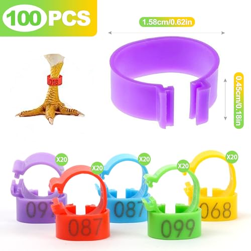 16mm Numbered Poultry Leg Bands – Colorful Chicken Leg Rings for Ducks, Geese, Turkeys, Game Birds – Bird Identification Bands for Poultry Breeding & Flock Management