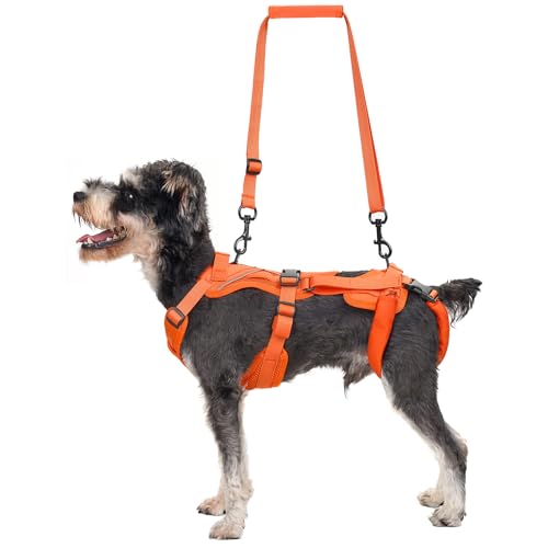 OneTigris Dog Lift Harness for Small Dogs XS, Dog Sling Carrier for Small Dogs, Full Body Lift Harness with Reflective Straps, Dog Support Harness for Back Legs - color: Orange, size: X-Small