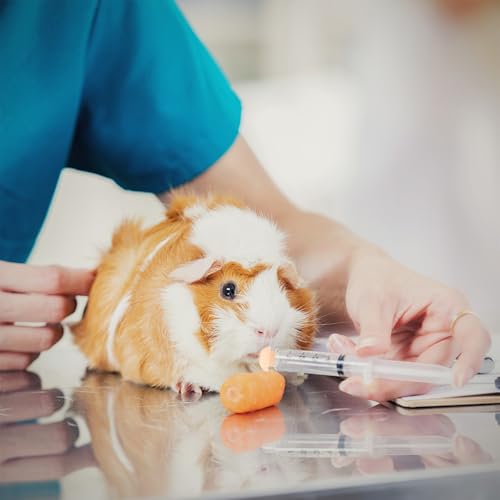 Pet Feeding Syringe with Nipple, Silicone Feeding Tools for Kitten Puppy Feeding Syringe for Newborn Cat Dog Small Animals Rabbits (4 syringe+ 1 bottle+1 brush) - color: 4 syringe+ 1 bottle+1 brush