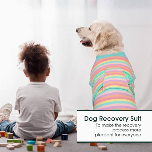 Kuoser Recovery Suit for Dogs Cats, Soft Dog Surgery Suit Female Male Spay | Professional Dog Onesie for Surgery, Substitute E-Collar & Cone, Prevent Licking Dog surgical suit Pet Neuter Suit - color: Purple Stripe, size: X-small (Back:8.3-11.4'', Weight:
